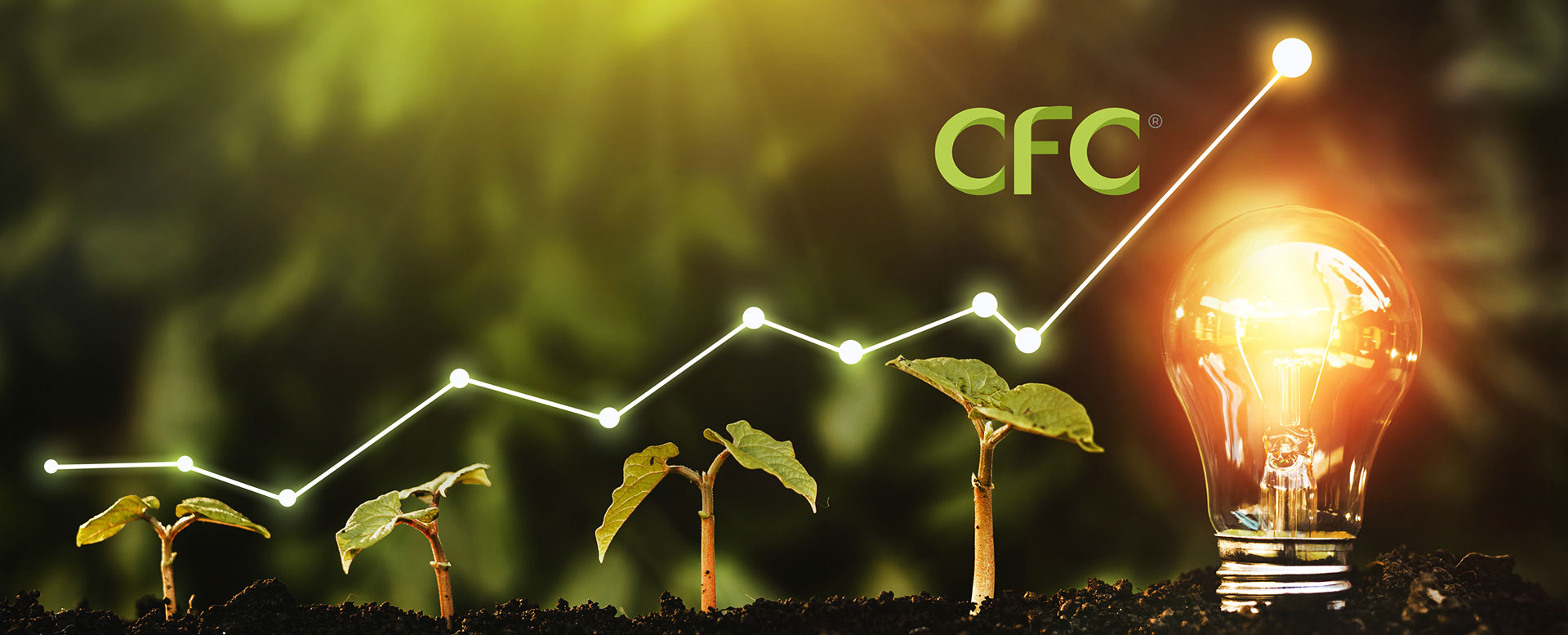 cfc-header-home-light-bulb